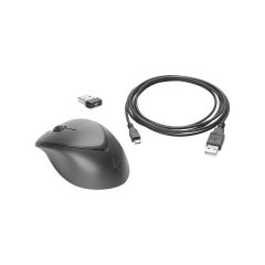 HP Premium Wireless Mouse - 1JR31AA